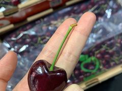 -双福水果批发市场