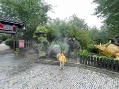 -合肥滨湖国家森林公园