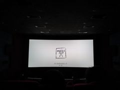 -保利国际影城(保利文化广场店)