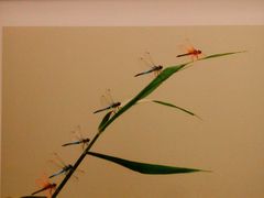 -平原博物院