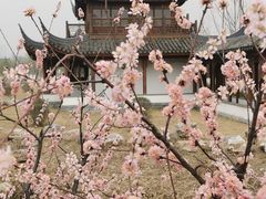 -水西公园