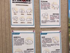 -美联众合爱康动物医院•复杂内科•肿瘤科•牙科•腔镜诊疗中心