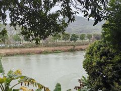 -风云岭森林公园