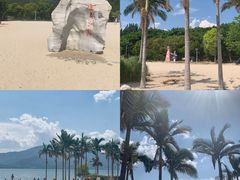 -西昌邛海湿地
