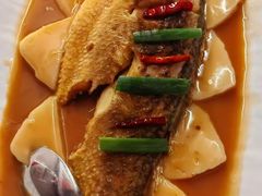 -鸽子侯·家宴·平价海鲜(绿地店)
