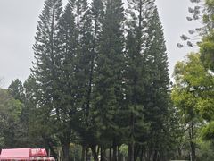 -人民公园(罗湖区)