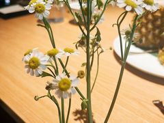 -一坐一忘云南菜(三里屯店)