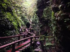 -青城山