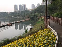 -重庆彩云湖湿地公园