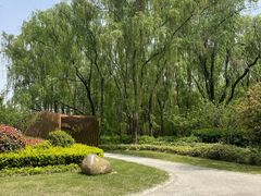 -昆山城市生态森林公园