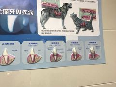 -爱侣·安琦尔宠物医院·中兽医针灸·心内科·狂犬免疫点(宝山区院)
