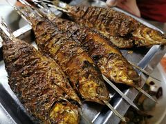 气泡鱼-玉园烧烤·海鲜辣炒