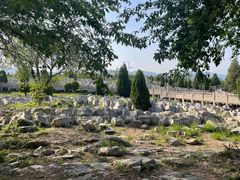 -原山国家森林公园