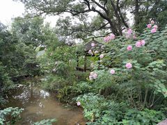 -杭州花家山庄