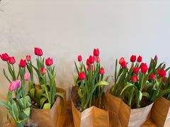 -dotcom coffee古点咖啡(致真大厦店)
