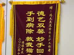 -中农国际动物医院24小时·猫科·骨科·急重症中心
