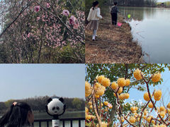 -苏州太湖国家湿地公园