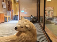 -大江户·温泉洗浴(浑南店)