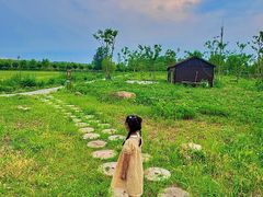 -池杉湖湿地公园