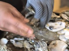 -斯普汇生蚝牛排馆(中骏世界城店)