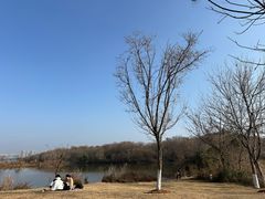 -盘龙城国家考古遗址公园