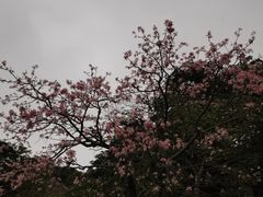 -福神岗公园