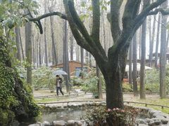-林间山庄