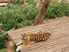 -大连森林动物园