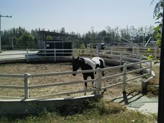 -北京市海淀外国语实验学校