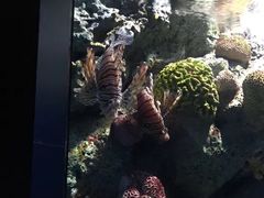 -暹罗海洋世界
