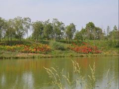 -白鹭湾湿地公园