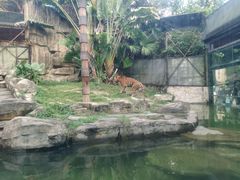 -深圳野生动物园