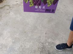 -麦园农庄·西江河鲜