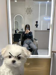 -逸丝风尚