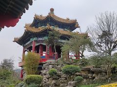 -重庆园博园