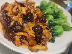双菇菜心-燕云楼(云南路店)