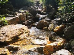 -南海湾森林生态园