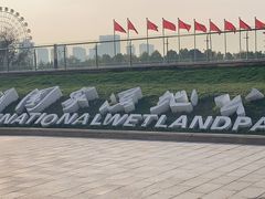 -洋湖国家湿地公园