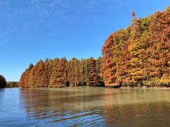 -上海海湾国家森林公园
