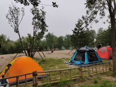 -东郊湿地公园