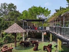 -深圳野生动物园