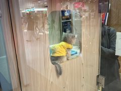 -屋虎猫馆(宝安大仟里店)