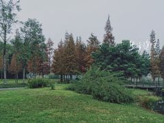 -眉山湿地公园(东坡区)