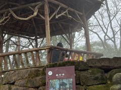 -青城山
