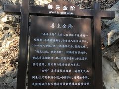 -阳台山自然风景区