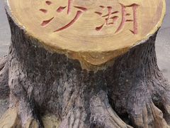 -玉龙沙湖景区