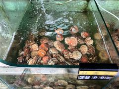 -四海鲜渔家菜(黄金海岸店)
