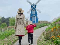 -铁山坪森林公园