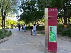 -东升文体公园