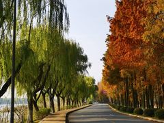 -太阳岛度假酒店